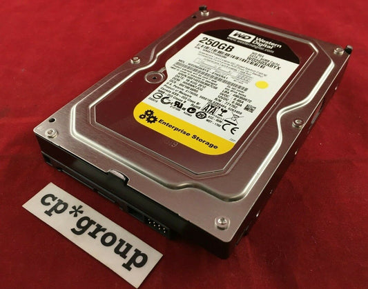 Western Digital RE4 250GB 7.2K SATA II 3Gb/s 3.5" Hard Drive WD2503ABYX-01WERA1