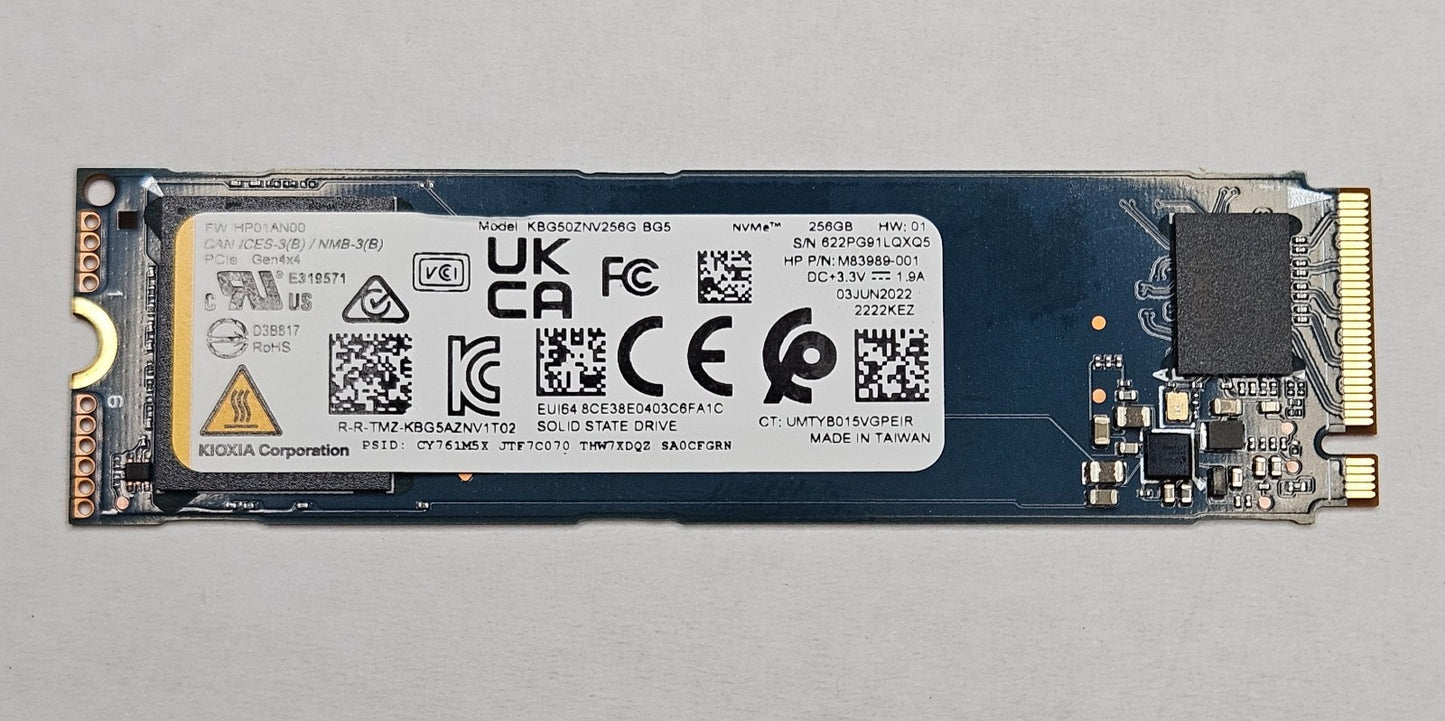 KIOXIA BG5 256GB TLC PCI Express 4.0 x4 NVMe M.2 2280 SSD KBG50ZNV256G0